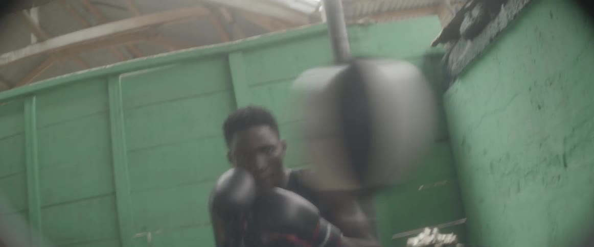 Boxers Training