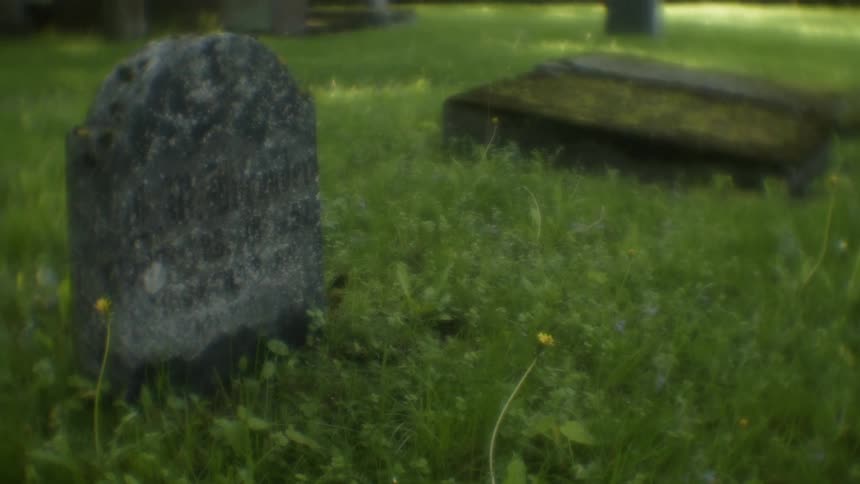 A headstone protrudes from the grassy ground
