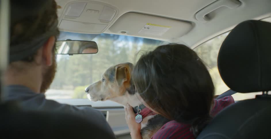 A man drives as a woman in the passenger seat holds a dog on her lap