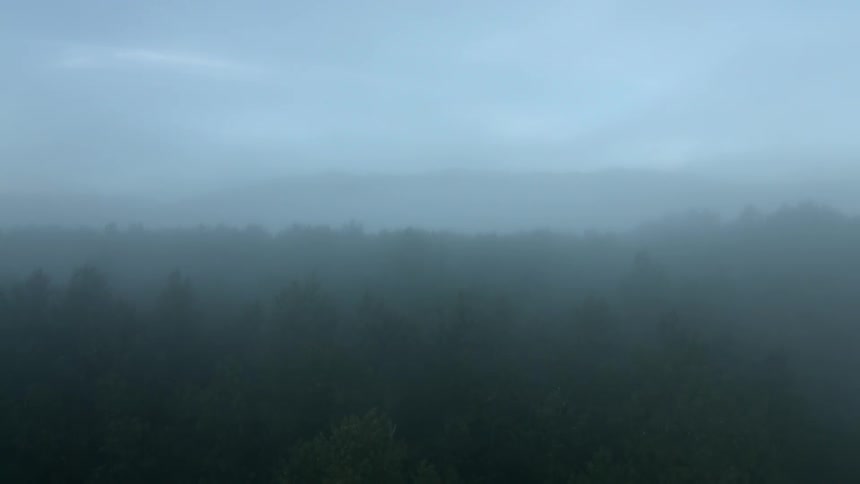 Foggy River Aerials