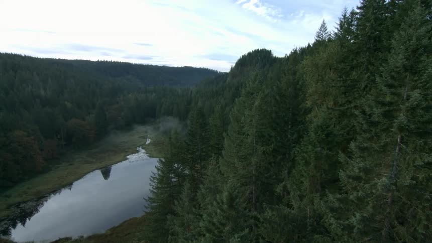 A lake is shown in a forest