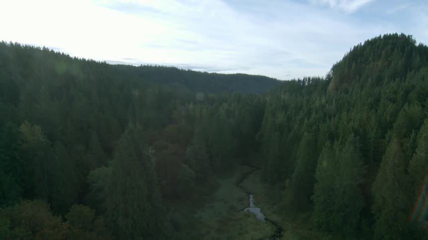 Trees are shown over a river