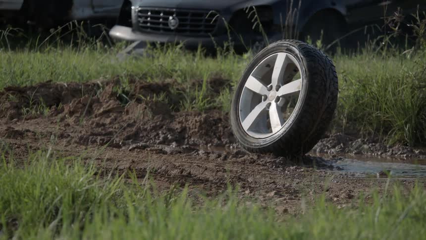 A car wheel that is rolling through a field into a small stream