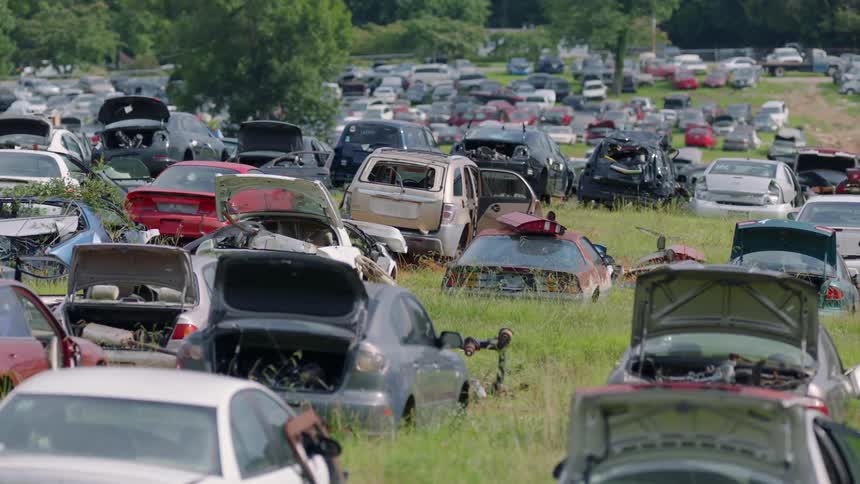 Cars parked on a grassy lot surrounded by trees on a sunny day