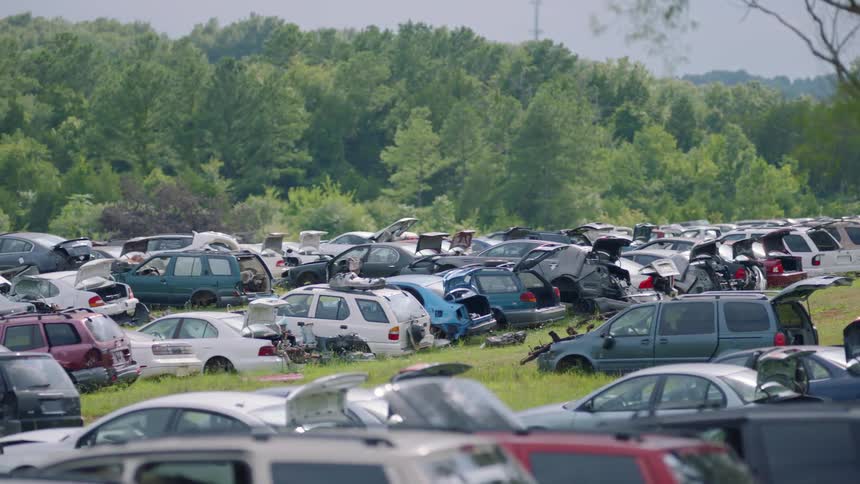 Hundreds of cars sit by each other in a junk yard surrounded by the forest