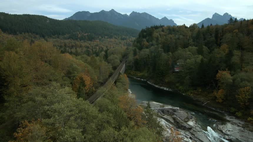 A river weaves through the forest