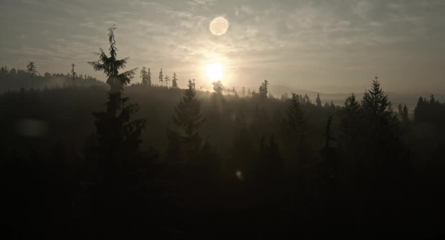 The sun sets over the forest