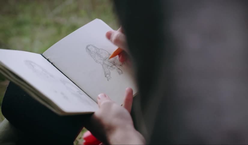 A person sketching in a book in a field
