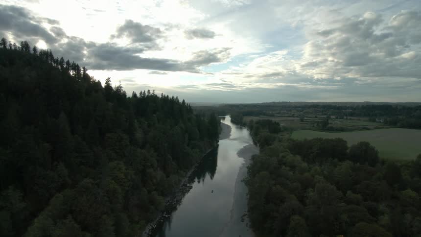 A river weaves through the forest