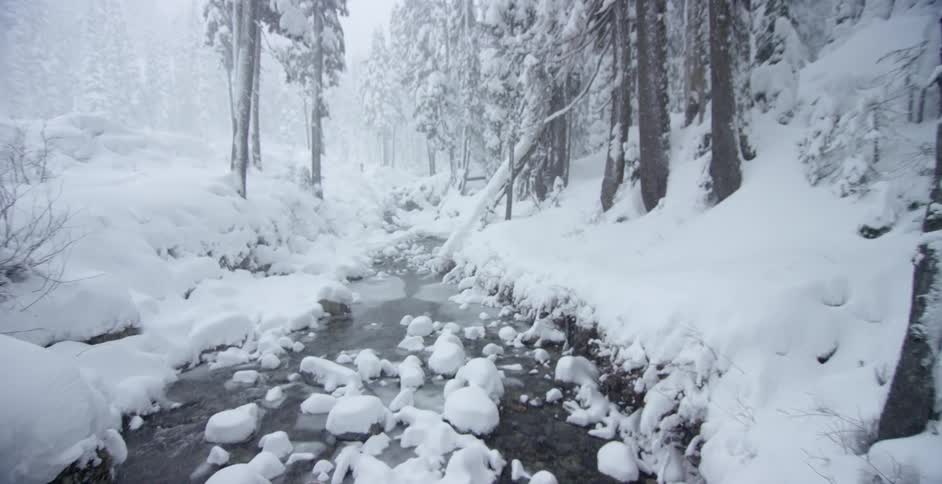 Snow is covering the stream