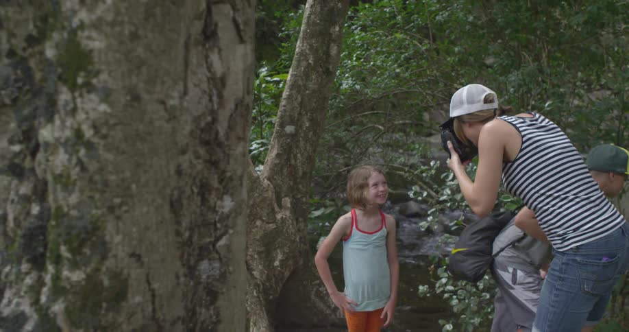 People are taking pictures  in a forest