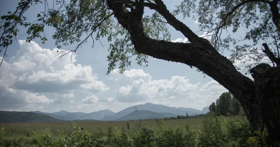 Clouds floating over mountains and a field