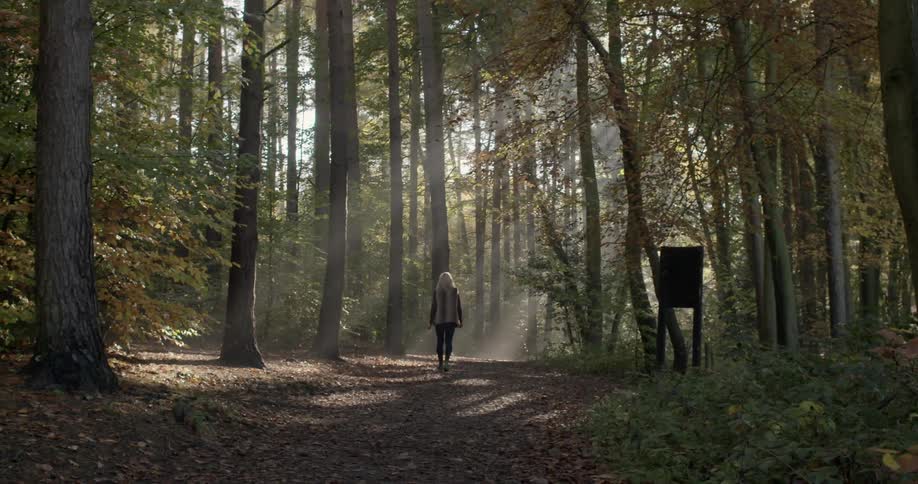 A person walking in the woods