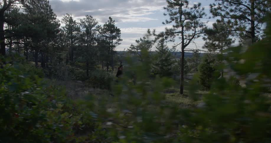 A woman is running through the forest