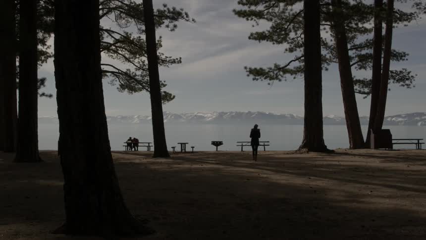 A person walks down a path toward a bench