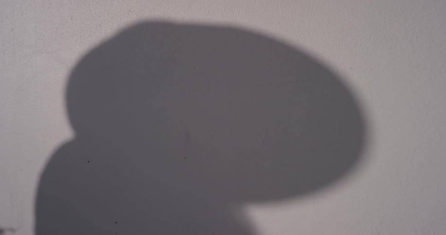 The shadow of a woman sways on a white background