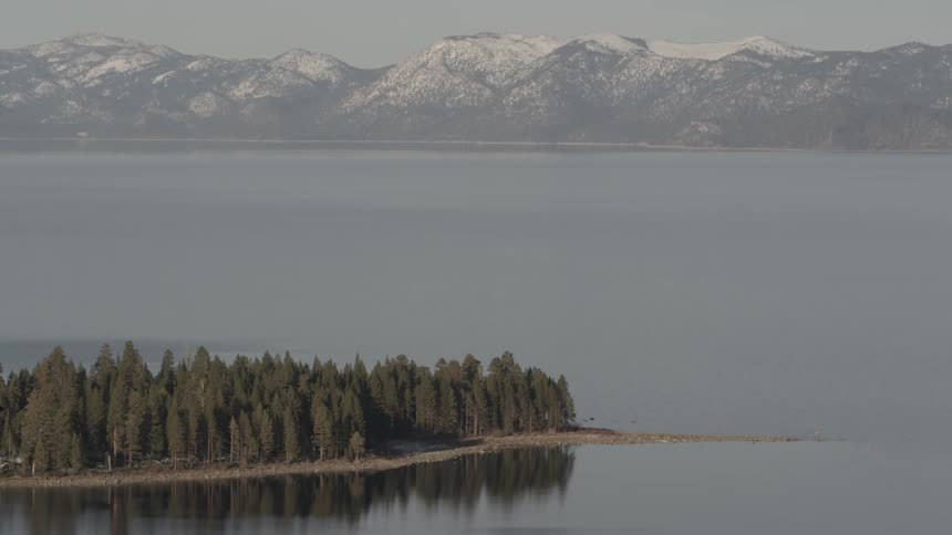 A lot of trees on an island in the middle of a lake