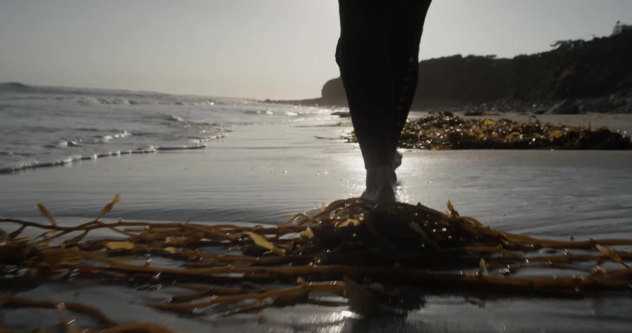A person walks through the water on the beach
