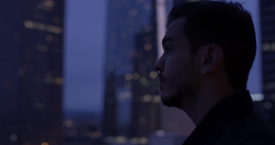 A man looking at a city at dusk
