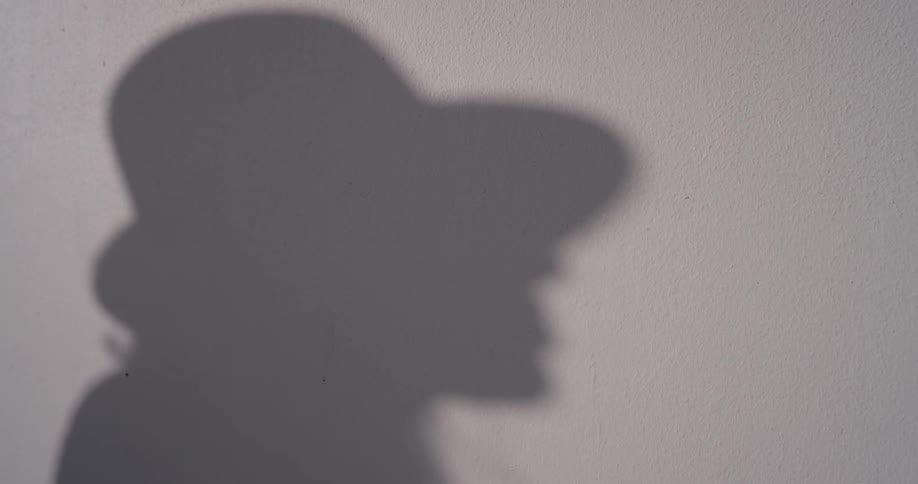 A silhouette of a person with long hair and a hat