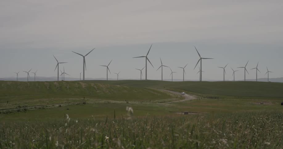 A car driving down a dirt road next to windmills