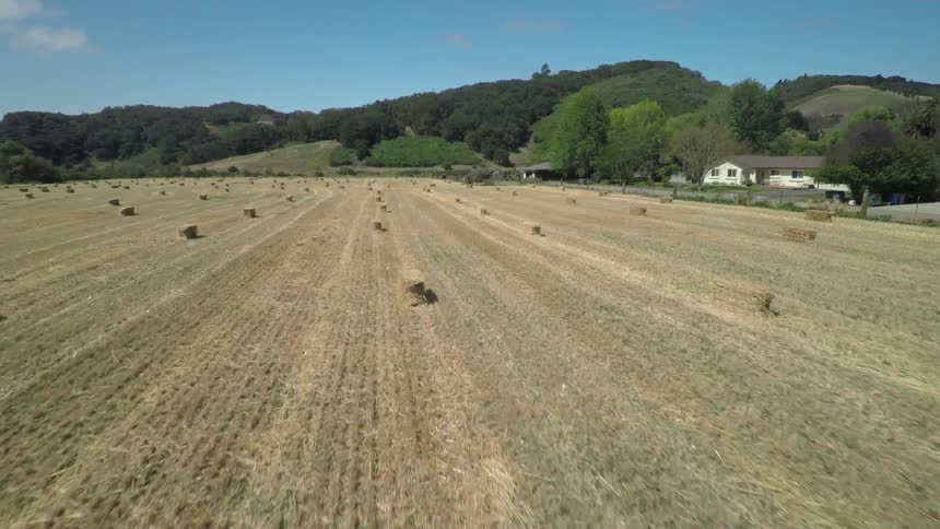 Aerial view of a field