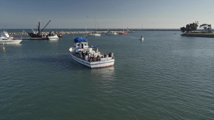 A boat full of people sits in a harbor