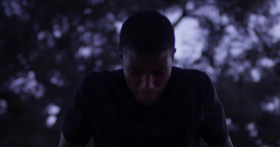 A man does push ups under a tree at dusk