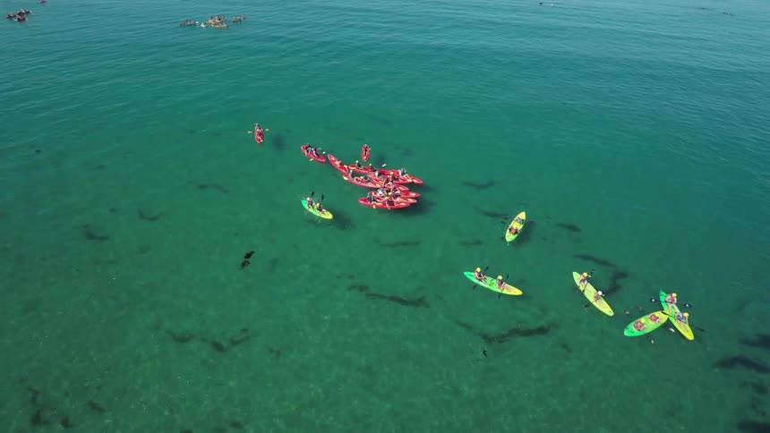 Coastal Aerials