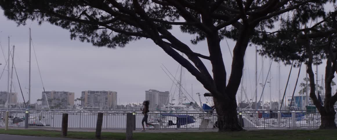 People Running Near Marina