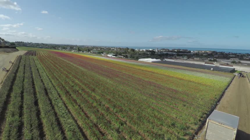 Various Aerials
