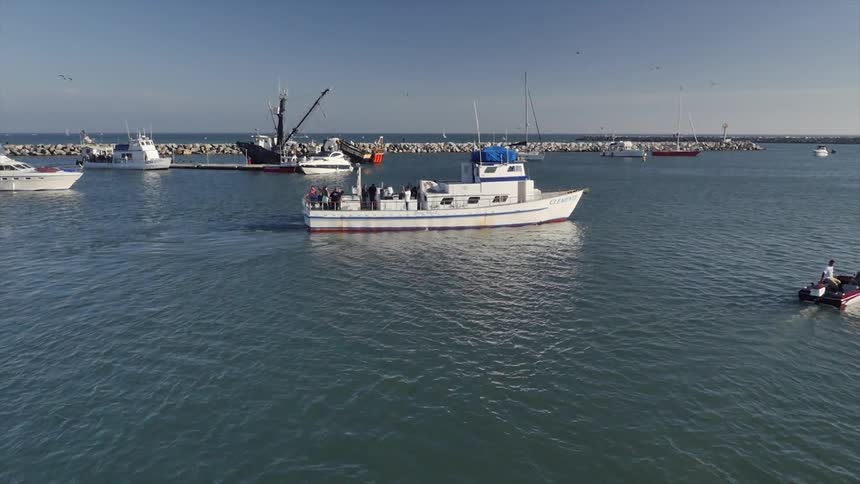 Ships are at sea