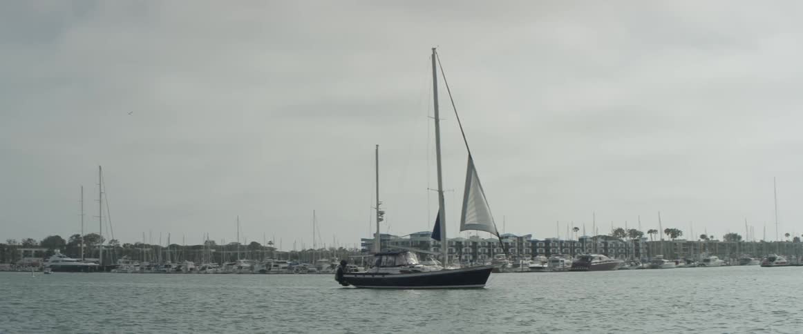Boat floats by with more in the background