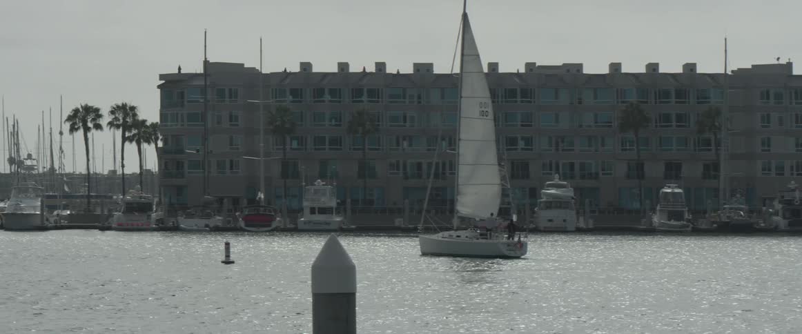 Marina Scenics