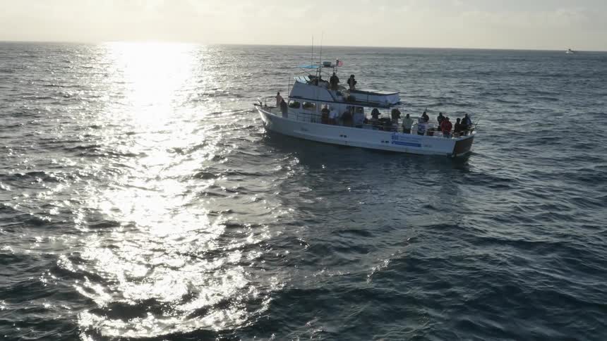 A boat floating on the ocean