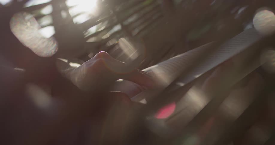 Woman Reading Outside