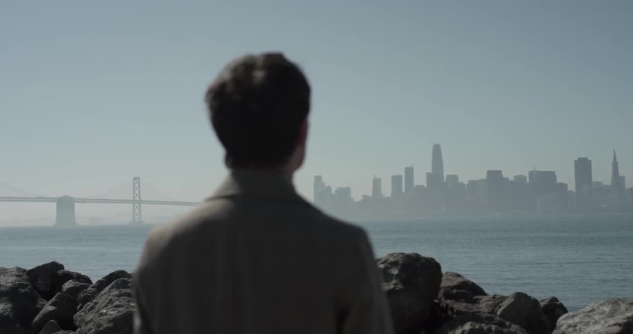 A man is looking at a skyline outside