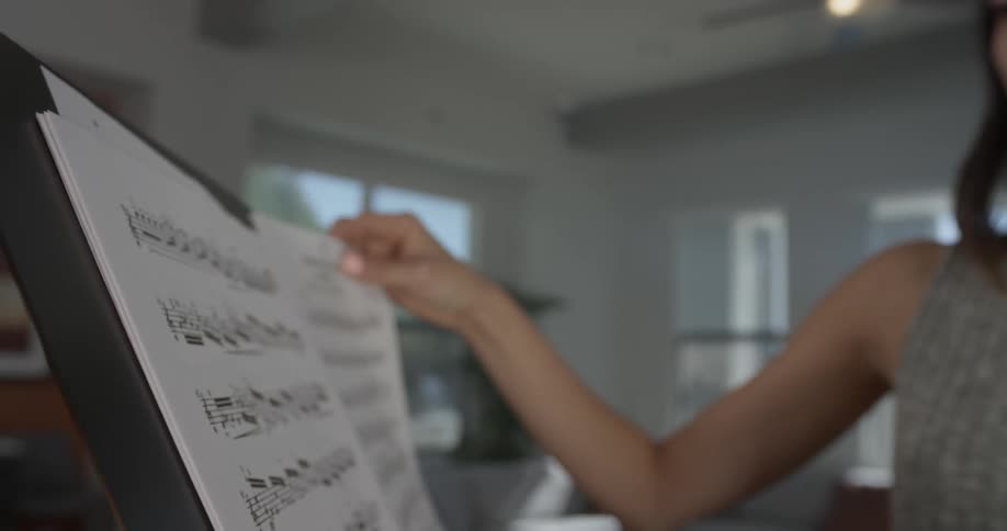 Violin Player At Home