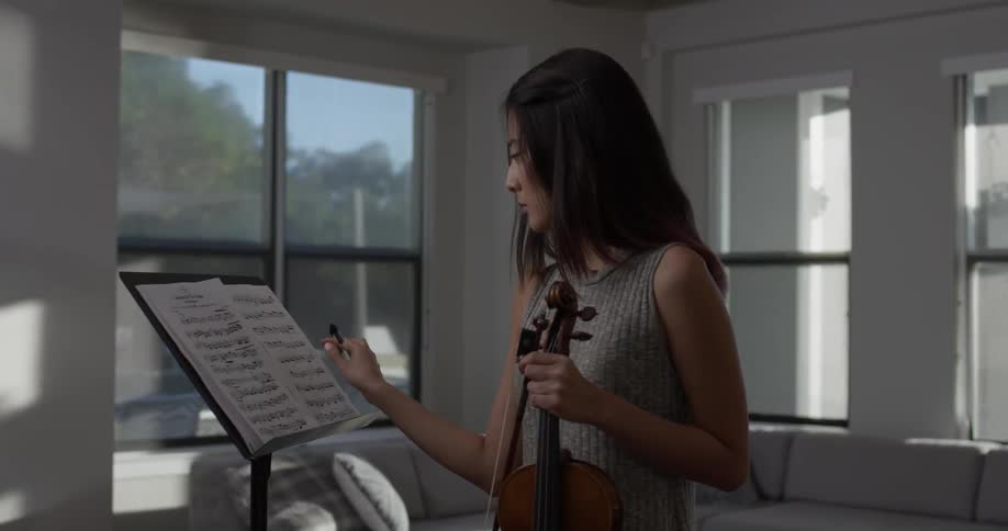 Violin Player At Home