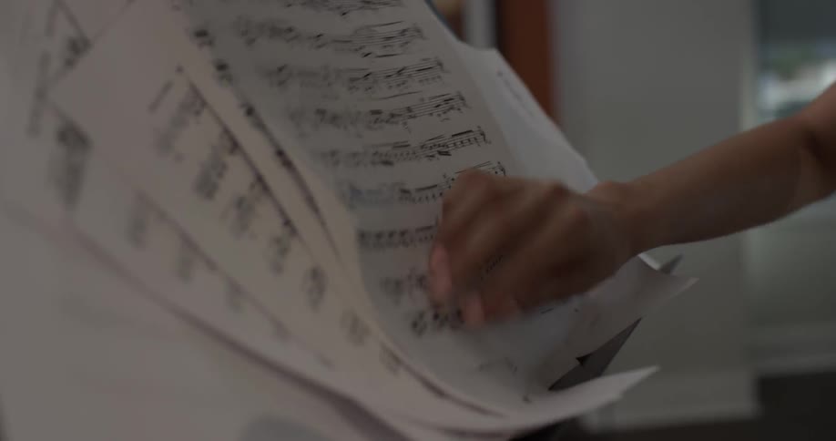 Violin Player At Home