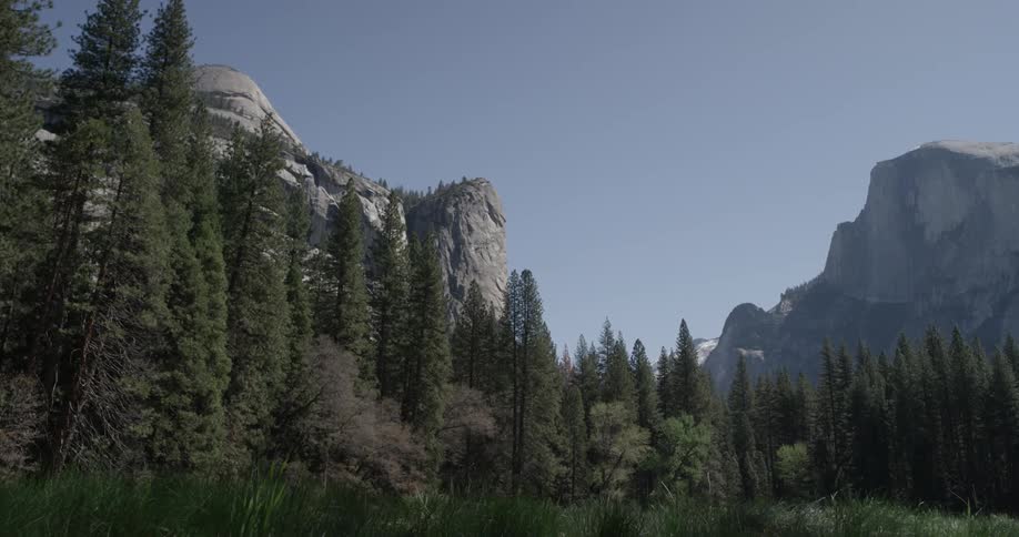 Yosemite Scenics
