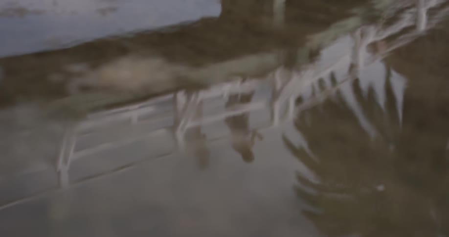 Water is reflecting a fence