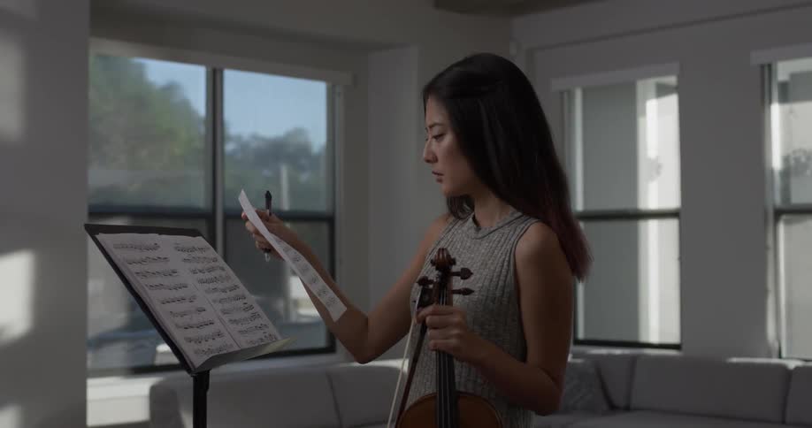 Woman holding a violin reading sheet music