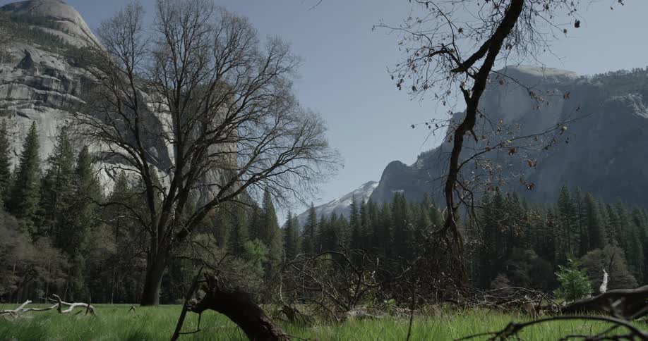 Yosemite Scenics