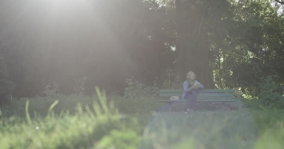 Women is sitting on the park bench picking up a book reading it in the sunlight sunny day