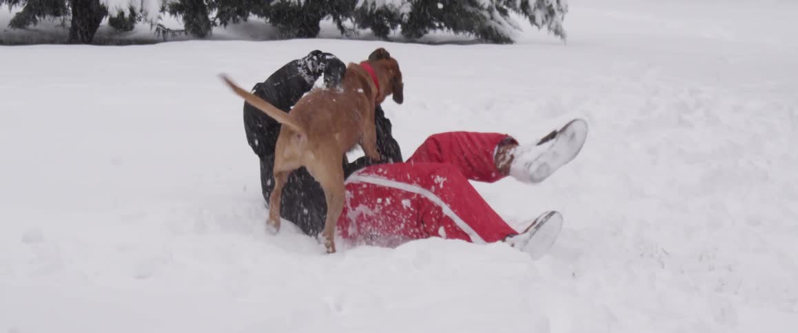 Snow Day