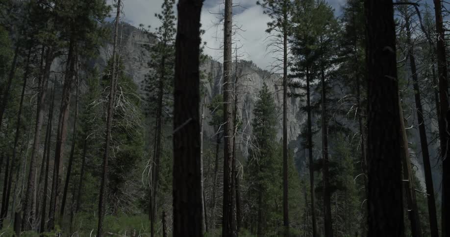Tall skinny trees populate the landscape beneath large tall mountains with blue cloudy skies in the background