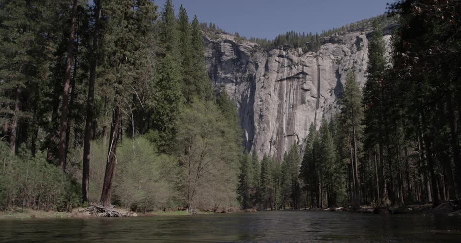 A river is flowing in front while many trees stand in the back and a tall mountain front is seen with blue skies behind it