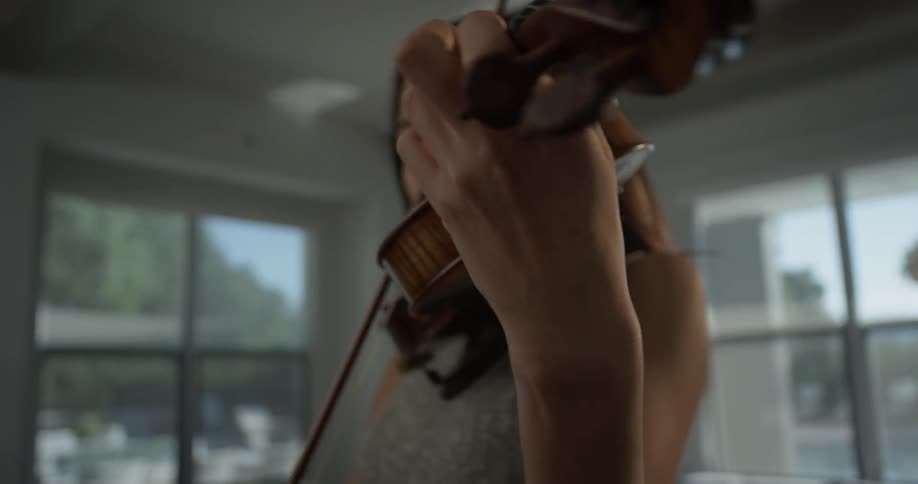 Violin Player At Home