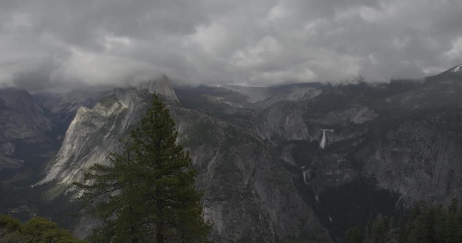 A tree that is at the top of a mountain
